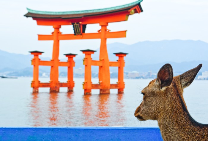 miyajima