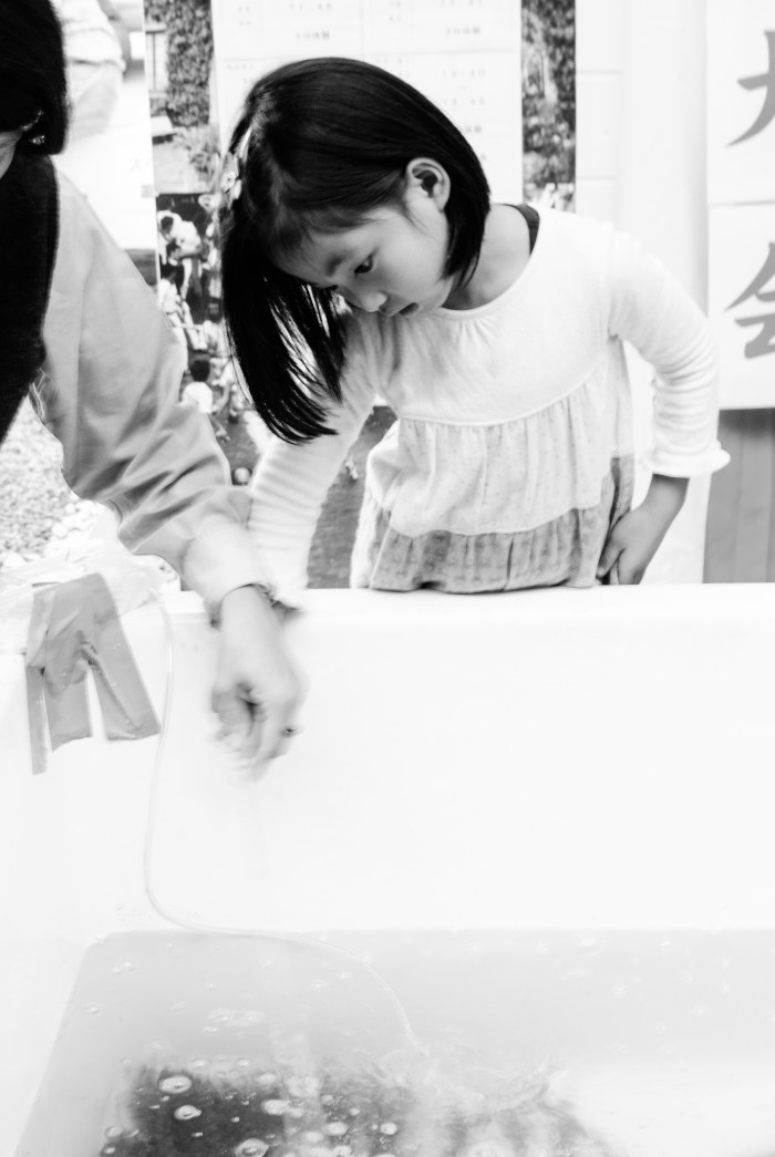 Day-91-1 catching-fish