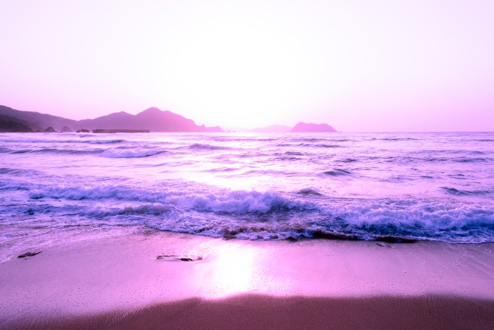 beach-purple