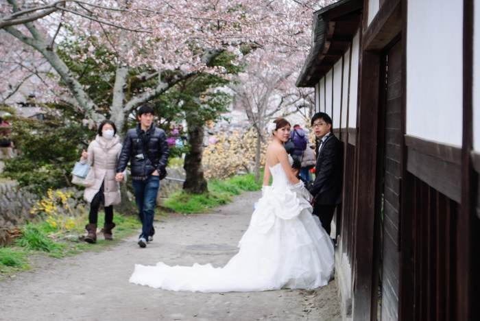 cherry-blossoms-kyoto-wedding