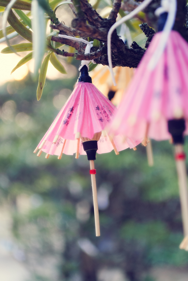 alcoholic-christmas-trees