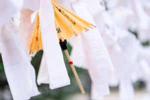 yellow-cocktail-umbrellas-amongst-wishes-at-a-shinto-temple