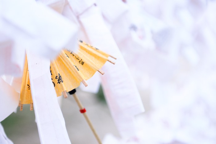 yellow-cocktail-umbrellas-amongst-wishes-at-a-shinto-temple