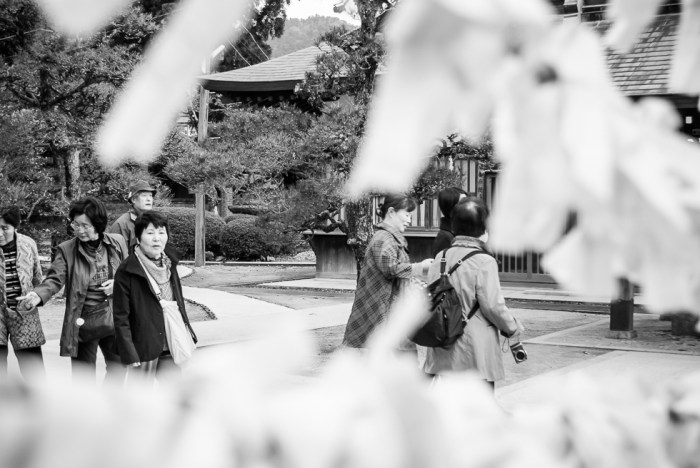 japanese-shinto-temple