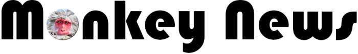 monkey news
