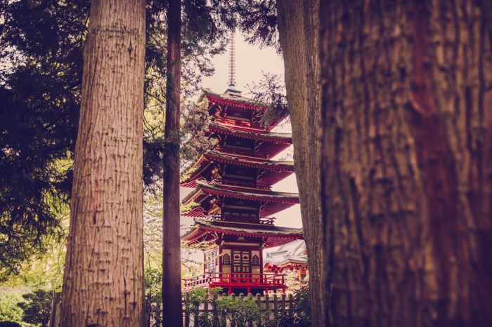 japanese-tea-garden-san-fransico-golden-gate-park