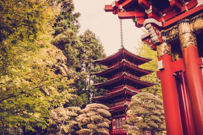 japanese-tea-garden-san-fransico-golden-gate-park