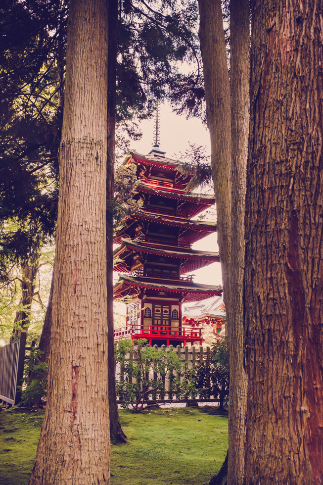japanese-tea-garden-san-fransico-golden-gate-park