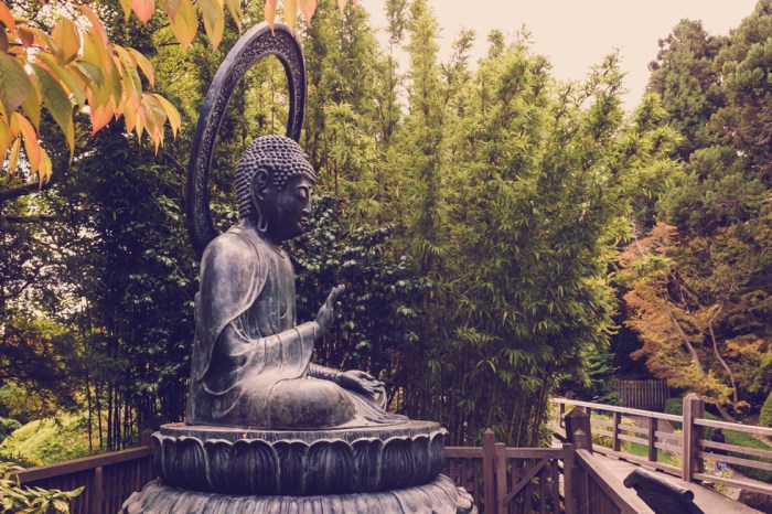 japanese-tea-garden-golden-gate-park-san-fransisco