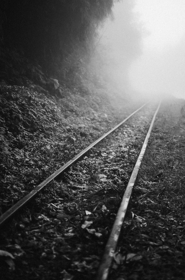 misty-railtrack