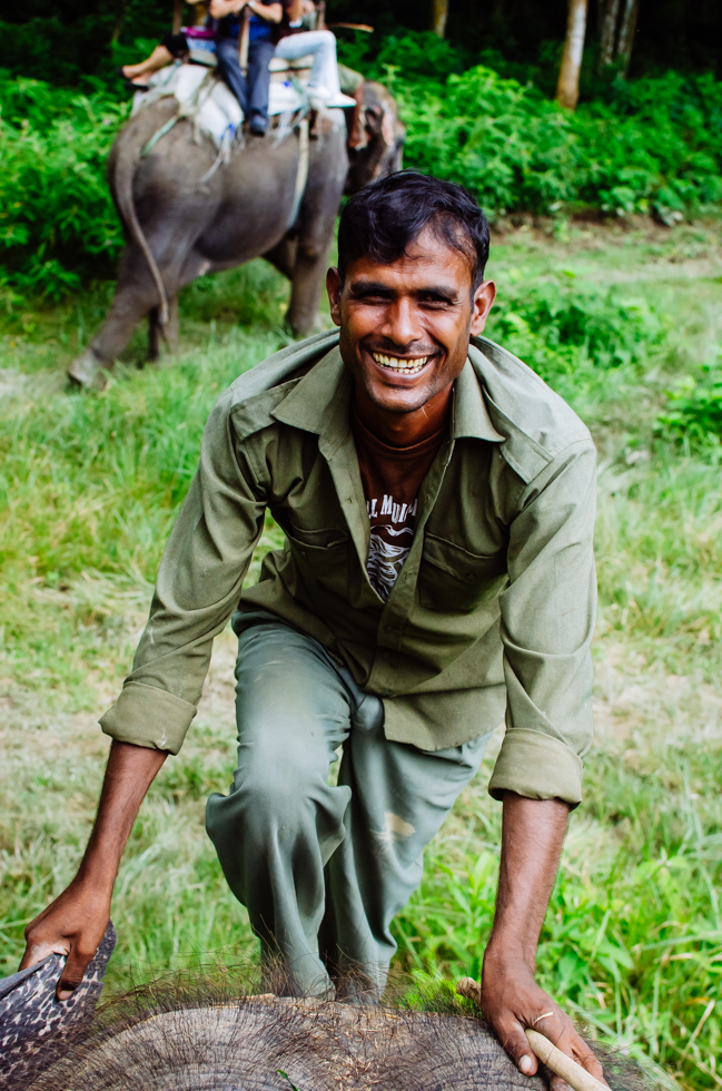 elephant-nepal-chitwan