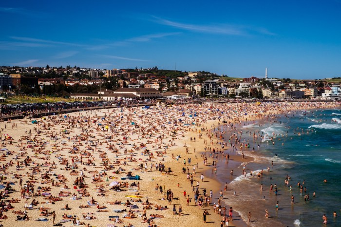 snowmonkeyphoto-Sydney - New Years-25