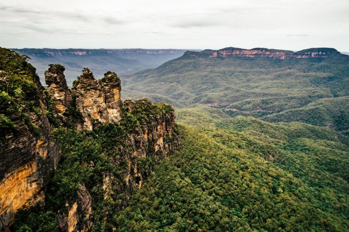 snowmonkeyphoto-Sydney - New Years-37