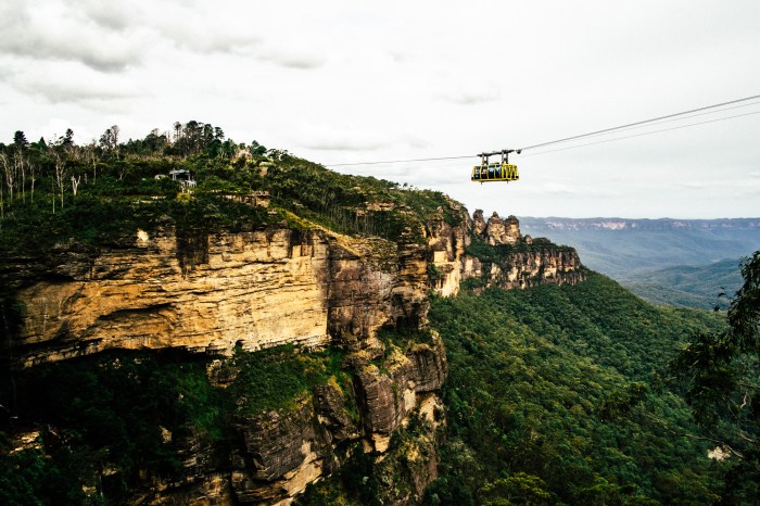 snowmonkeyphoto-Sydney - New Years-44