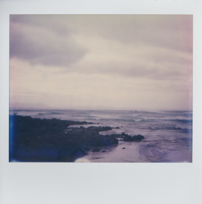 snowmonkeyphoto_byron-1