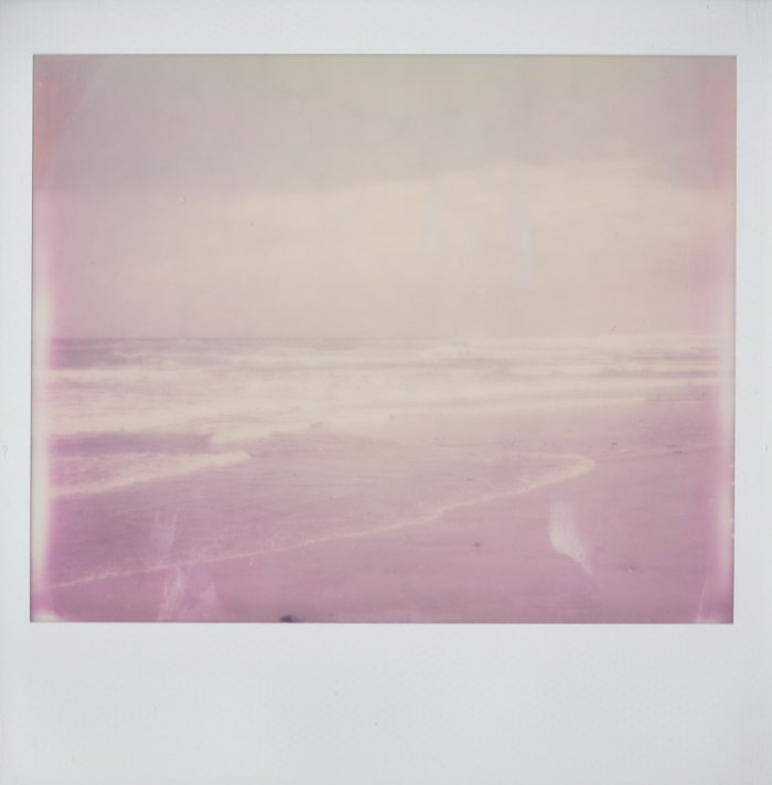 snowmonkeyphoto_byron-2