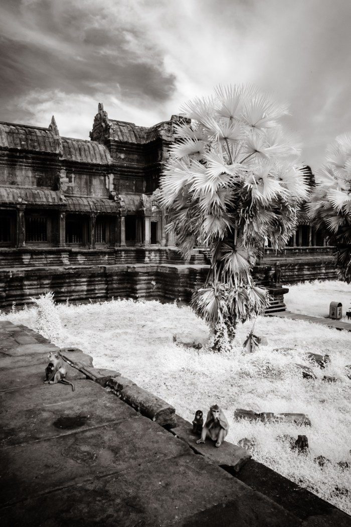 infrared_cambodia-19