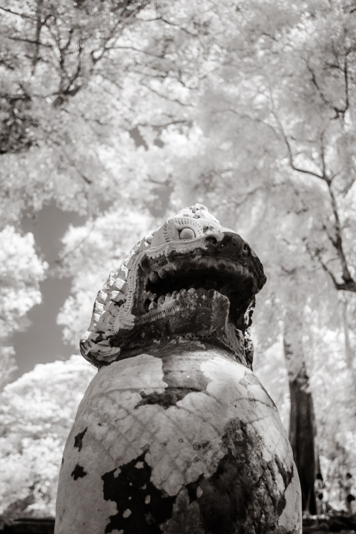infrared_cambodia-7